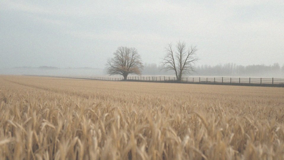 Kiedy możemy spodziewać się spadku temperatury?