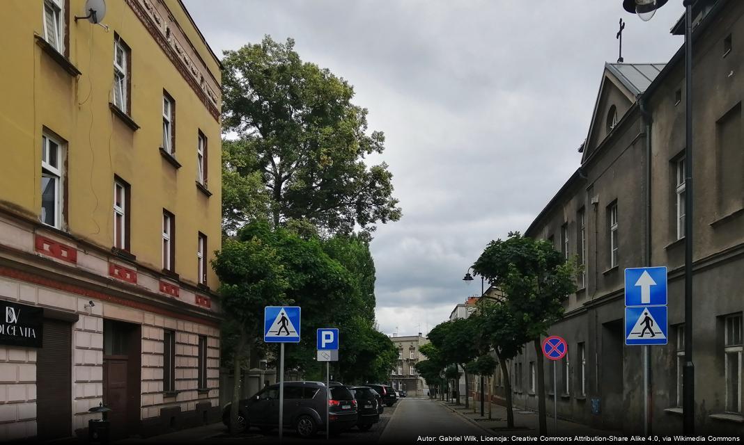 Otwarcie konkursu na organizację zimowych półkolonii w Tarnowskich Górach